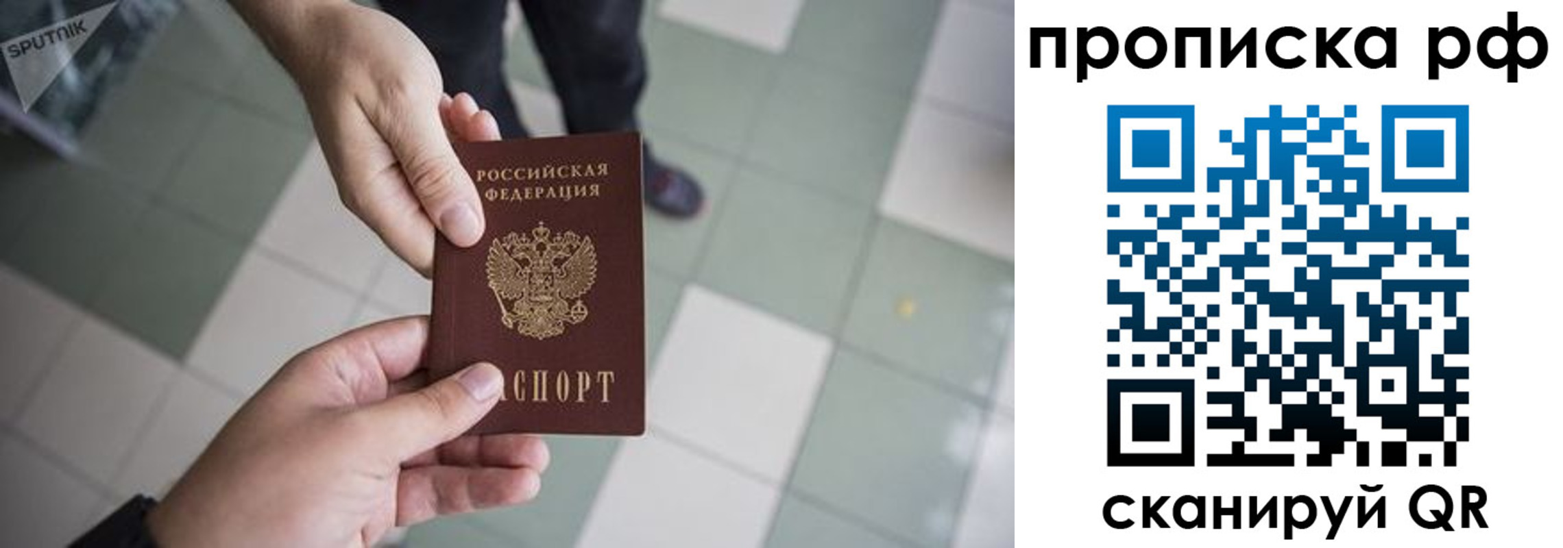 прописка гарантия в Елизово