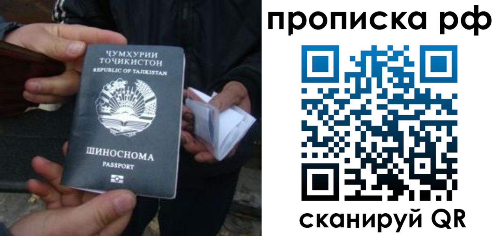 форма 3 в Елизово